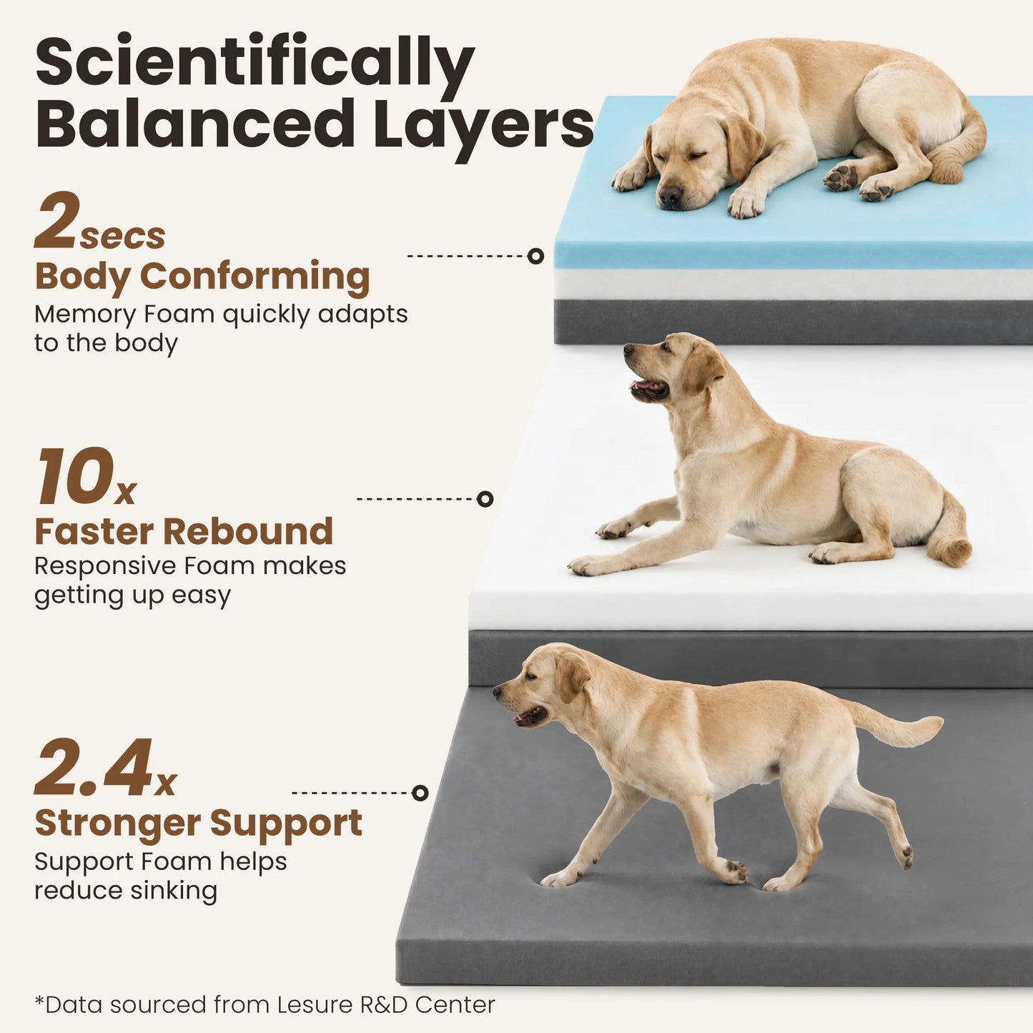 Lesure Realortho Orthopedic Dog Bed - Joint Protection for Large & Senior Dogs