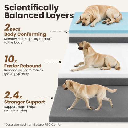 Lesure Realortho Orthopedic Dog Bed - Joint Protection for Large & Senior Dogs