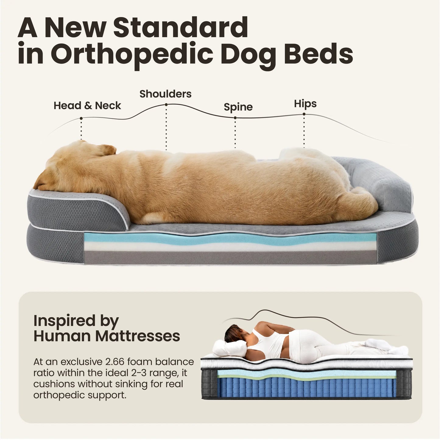 Lesure Realortho Orthopedic Dog Bed - Joint Protection for Large & Senior Dogs