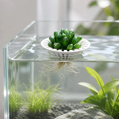 Fish Tank Hydroponic Floating Planter Basket, Floating Design, Soil-Free Greenery Fixer, Aquarium Plant Float Stand, 3D Printed Pla, Water Purification, Aquatic Plants, Lightweight