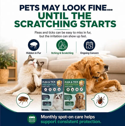 Spot on Pet Daily Topical Skin Care Serum for Cats & Dogs, Soothing Cleansing Solution, Pack of 6 Tubes