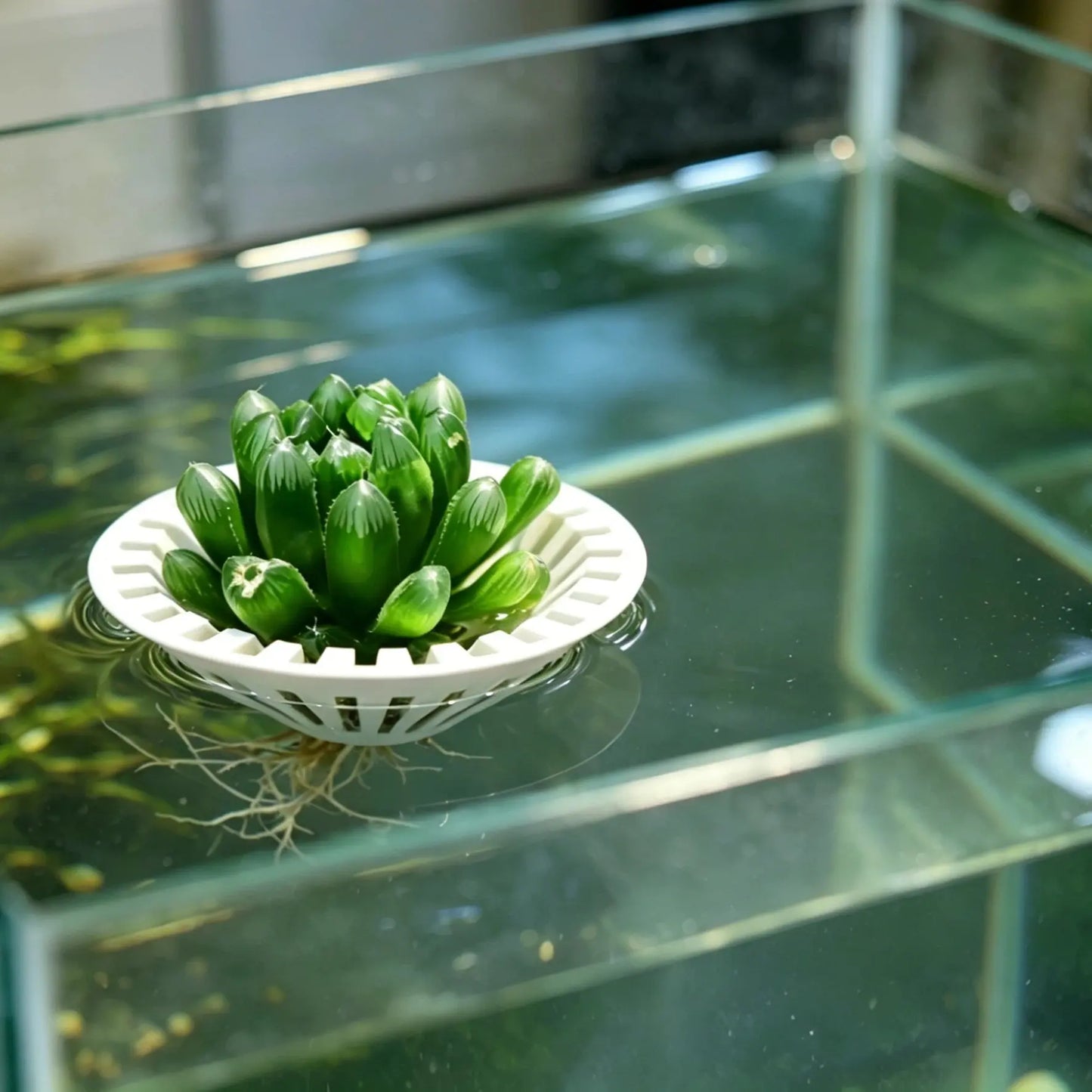 Fish Tank Hydroponic Floating Planter Basket, Floating Design, Soil-Free Greenery Fixer, Aquarium Plant Float Stand, 3D Printed Pla, Water Purification, Aquatic Plants, Lightweight