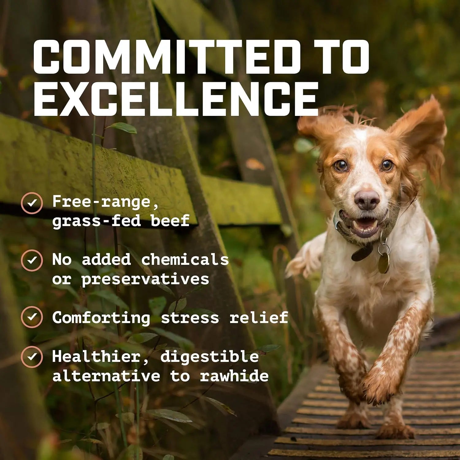 <GOLDEN TICKET!> Beef Cheek Strip Dog Treats (1 LB. Bag) 100% Natural Free-Range, Grass-Fed Beef - Single-Ingredient Dog Chews