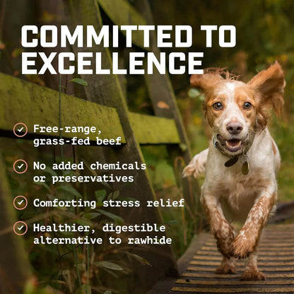 <GOLDEN TICKET!> Beef Cheek Strip Dog Treats (1 LB. Bag) 100% Natural Free-Range, Grass-Fed Beef - Single-Ingredient Dog Chews